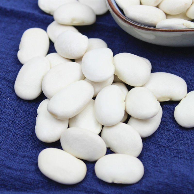 白芸豆新货云南特产农家自种大白豆 白云豆 豆类杂粮粗粮大豆包