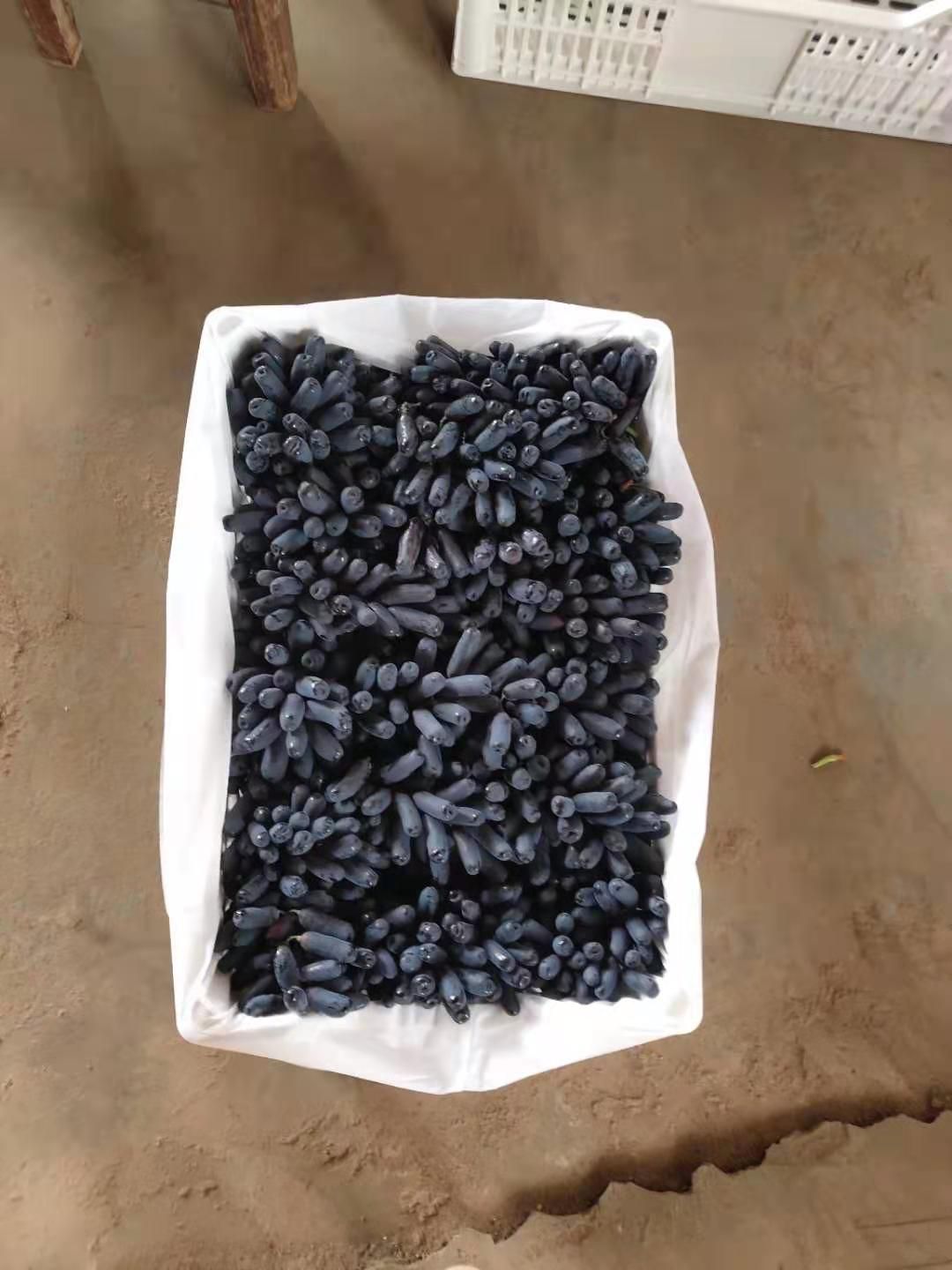 美人指葡萄 甜蜜蓝宝石葡萄