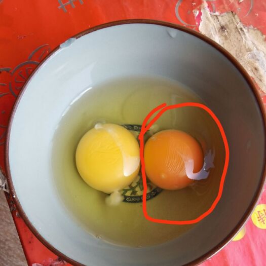 长沙 大件土鸡蛋，一件起批，全国物流发货