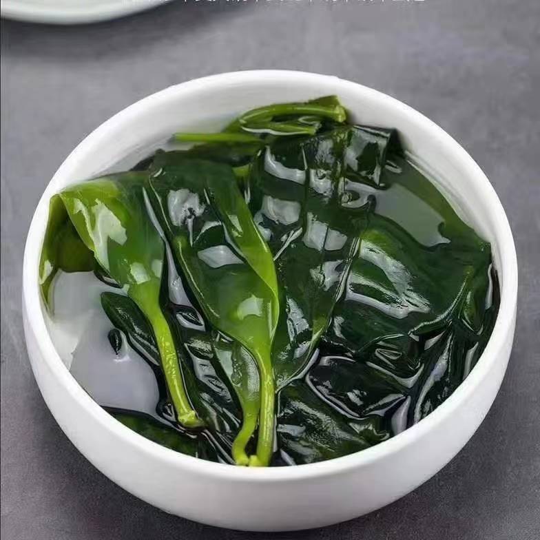鲜海带  海带苗