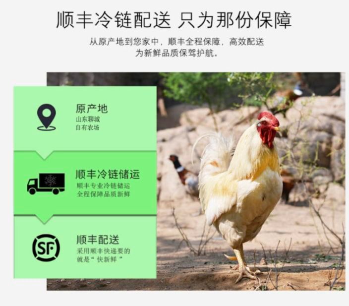 土鸡  【活鸡现杀黑脚大公鸡】山东农家散养公鸡整只走地鸡
