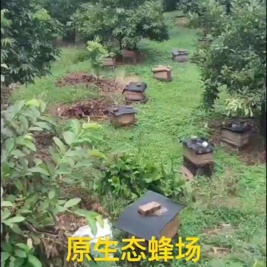 乌桕蜜，质量保证，农家自产自销。