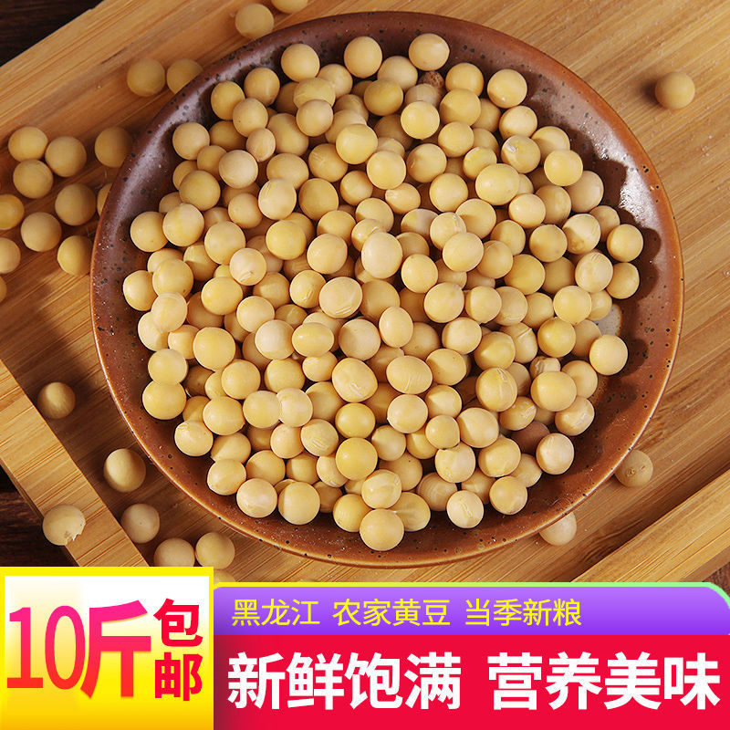 大豆  【10斤】东北新黄豆十斤包邮黑龙江笨黄豆打豆浆发豆芽