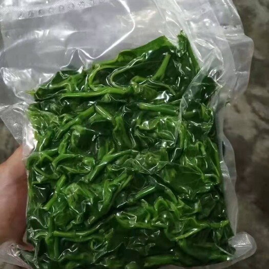 桑芽 桑牙菜 对流感有一定的辅助作用老人小孩均可