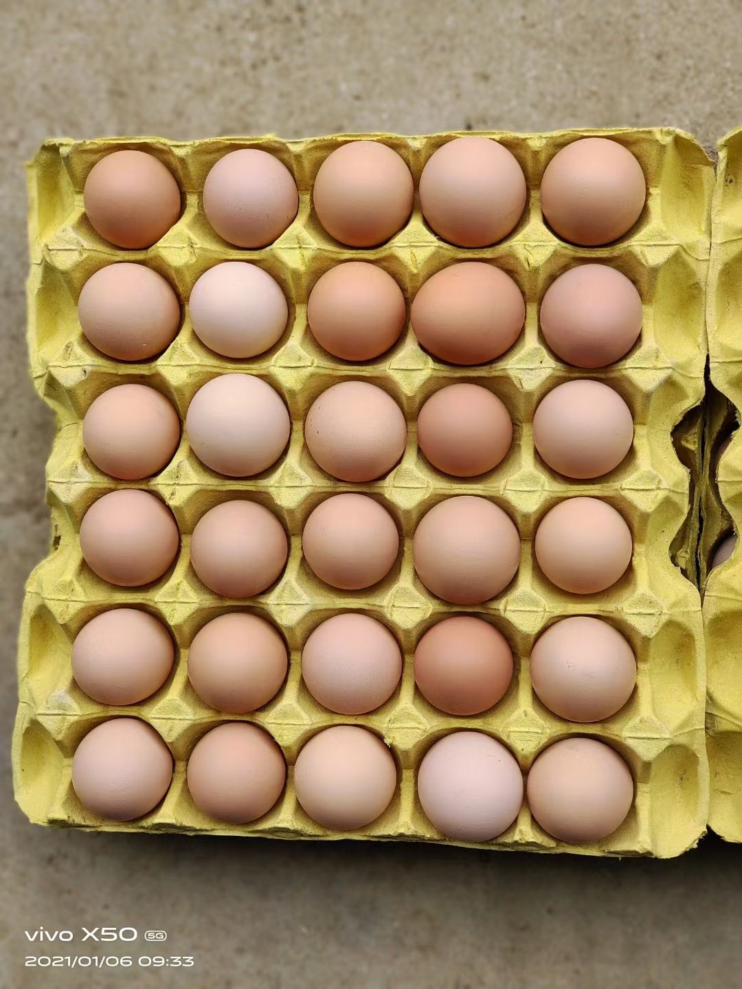 粉壳蛋  大龙二土鸡蛋，武汉发，现捡现发，可整车，