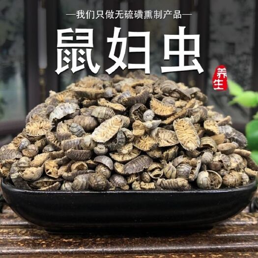 中药材鼠妇虫 鼠妇虫 地虱 湿生虫 潮虫 干货包邮