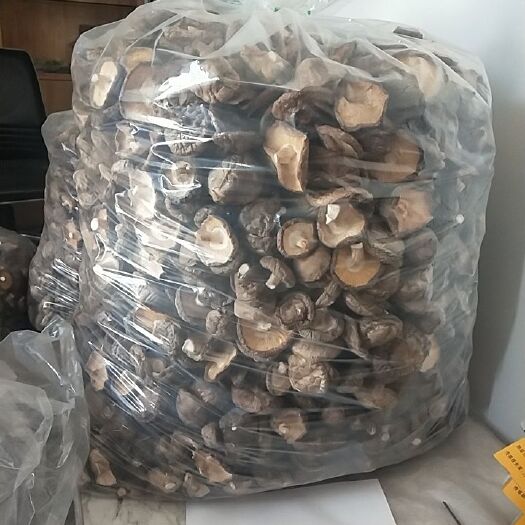 天水香菇808  干香菇