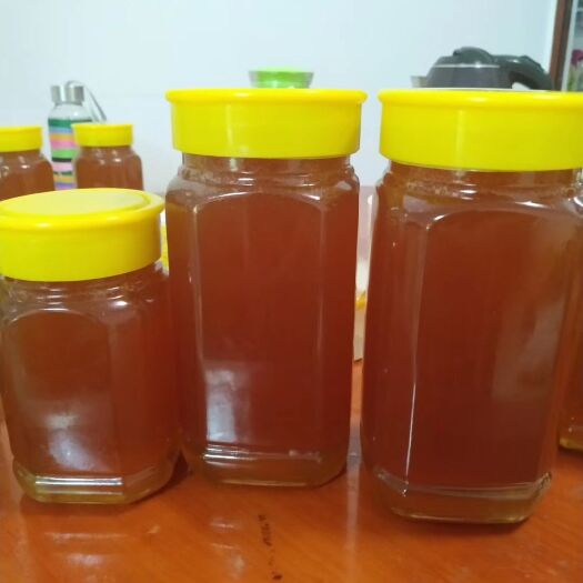 西林县 自家土蜂蜜（百花蜜），一年采一次蜜！不是专业养蜂人。