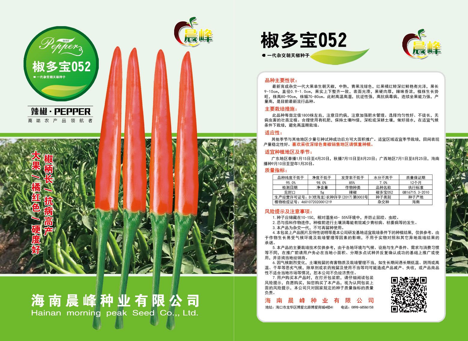 朝天椒种子  大果高硬度，长粗把子，高产抗病强，品质保障厂家