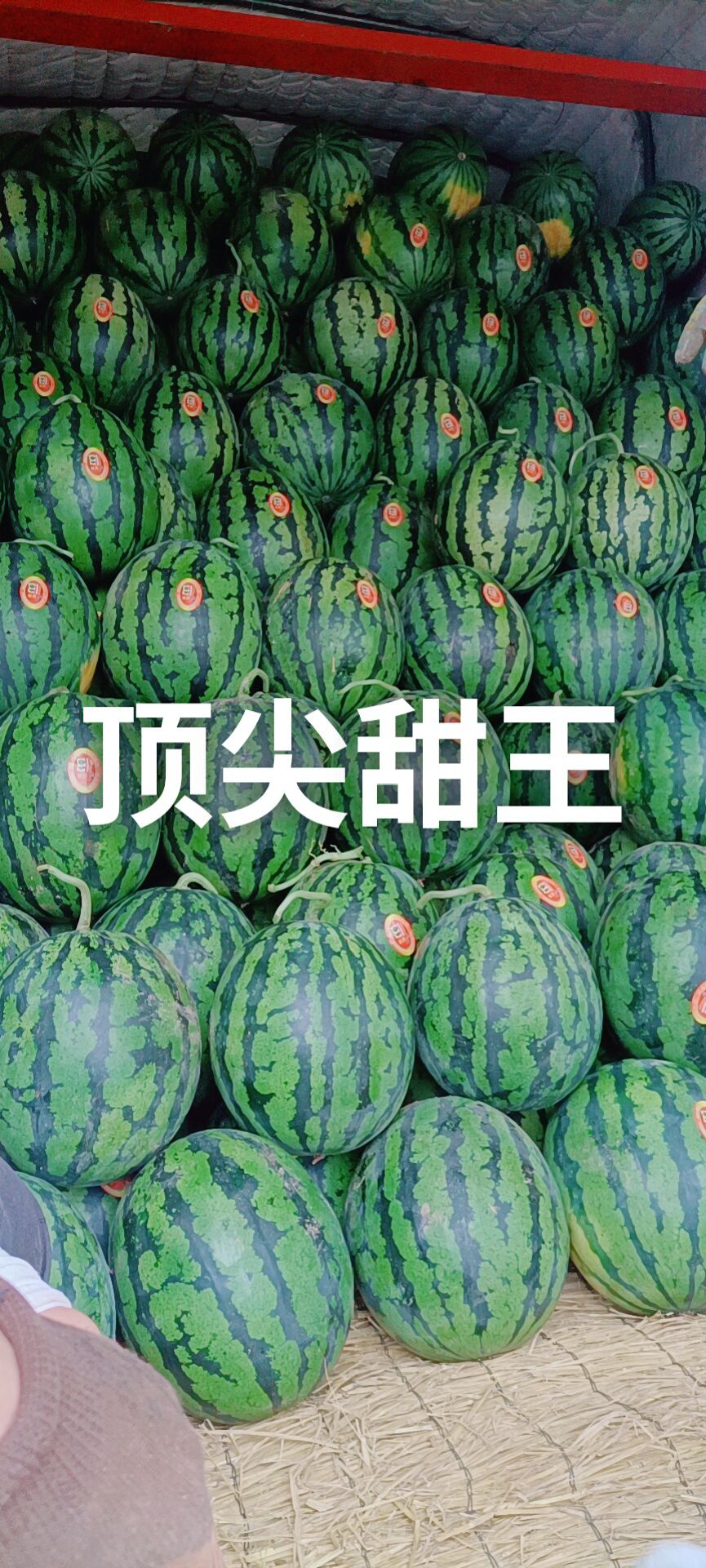 甜王西瓜  全国直销品质好、价格低、装车快、诚信第一欢迎您来