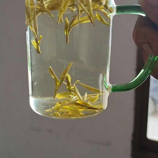 长兴县白茶  黄金茶