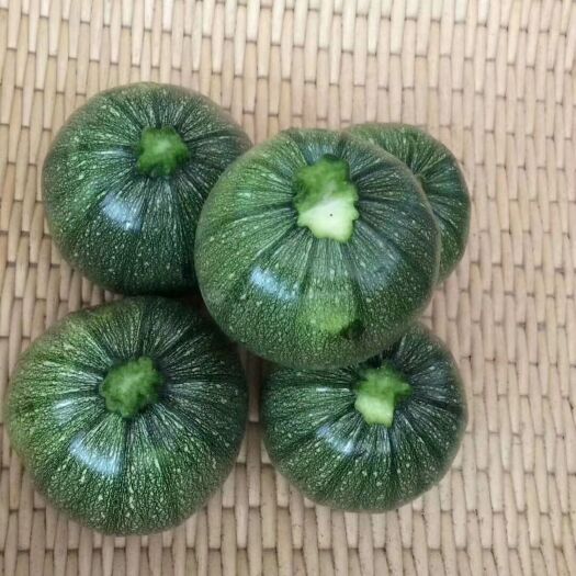 寿光市绿皮西葫芦种子  特色西葫芦种子，圆形西葫芦种子-绿香玉