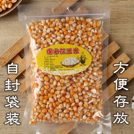 广州干玉米  爆米花专用玉米粒原料家庭商用球形蝶形自制小玉米粒批