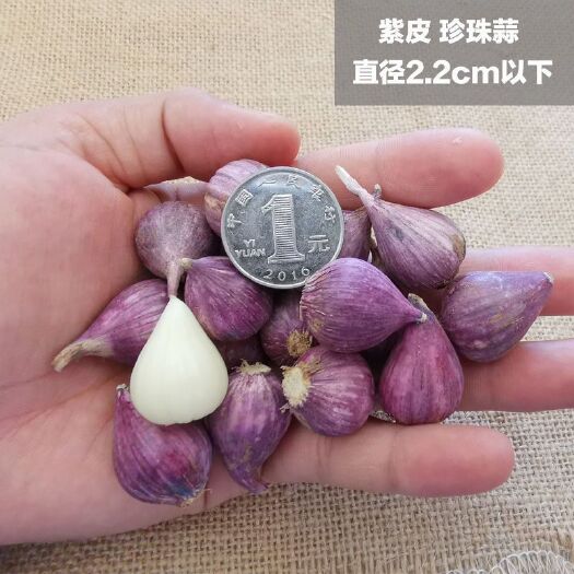 弥渡县2021年云南紫皮独头蒜2.2以上珍珠蒜产地直销欢迎客商选购