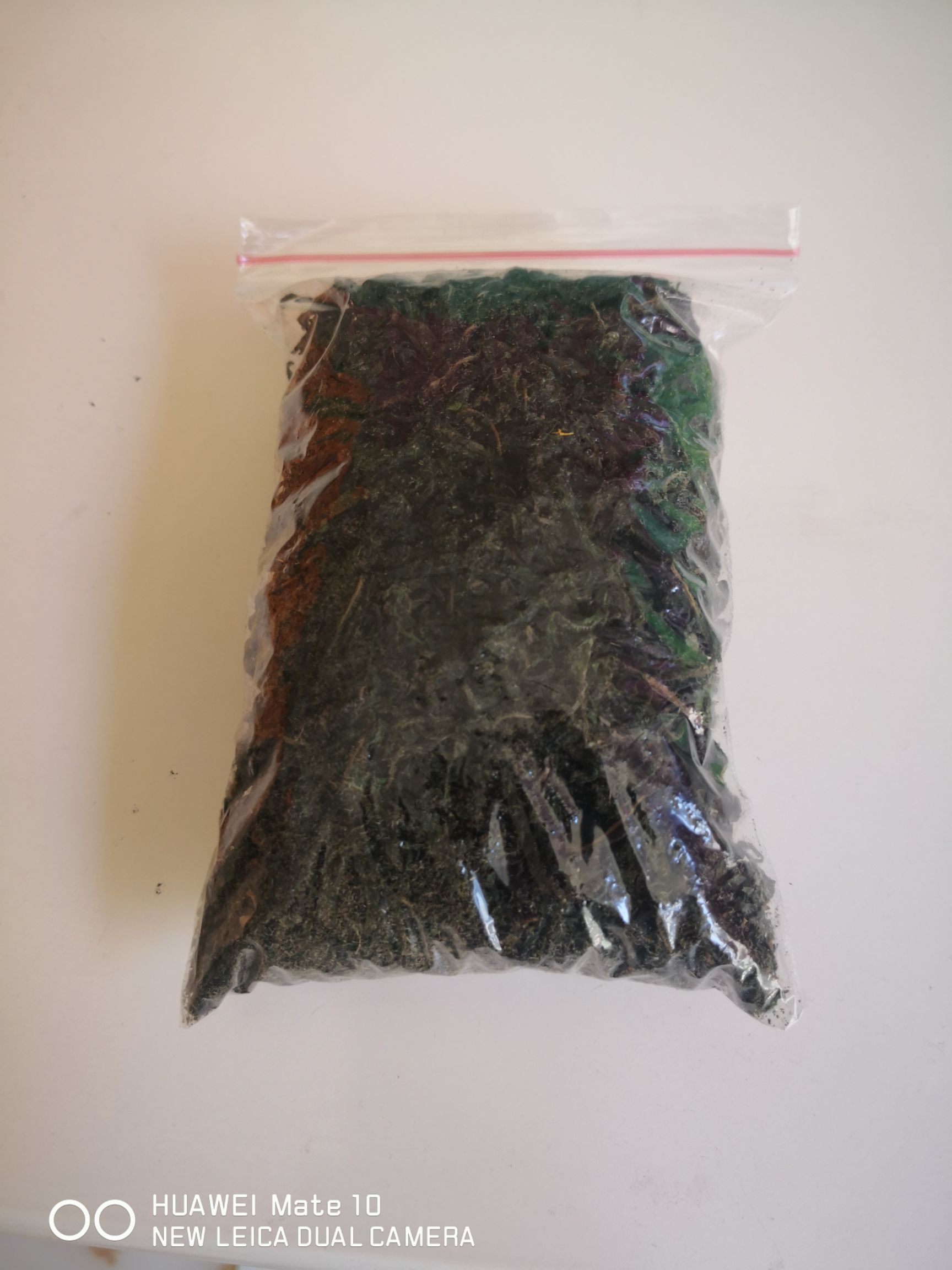 当年深山天然刺五加茶