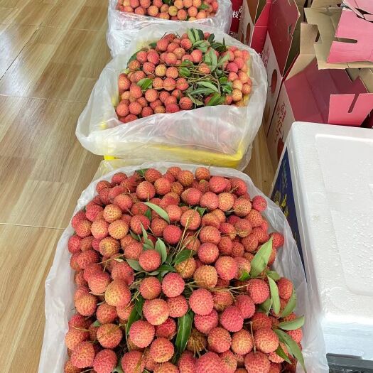 广州桂味荔枝 增城桂味，价格回落，果场直采，值得拥有。