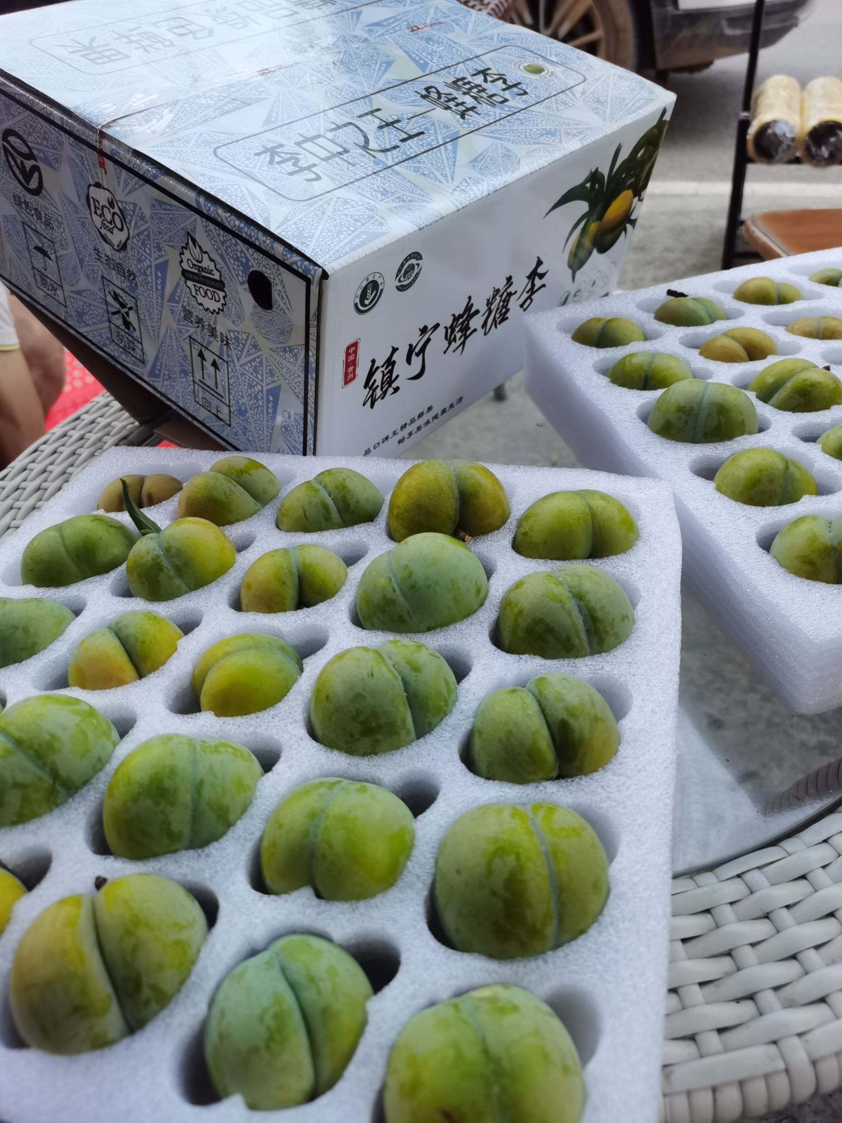  蜂糖李