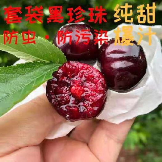 汉源县黑珍珠樱桃  汉源车厘子,自家果园,现摘现发,保证新鲜!