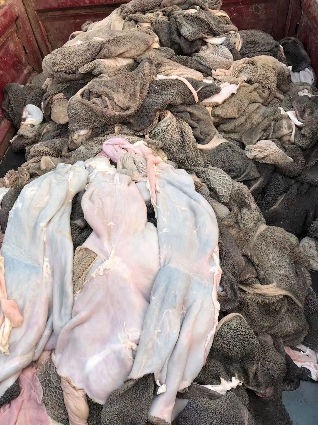 羊肚  纯干内蒙特色羊毛肚，黑毛肚，郑州惠济区中原水产物流港