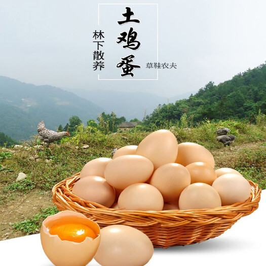 新昌县土鸡蛋，送礼必备