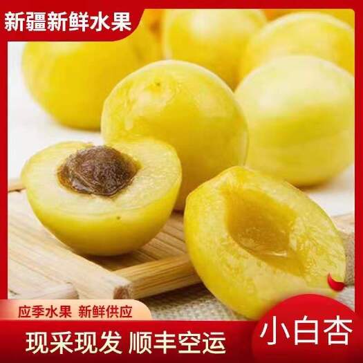 轮台县[爆款]2025新疆轮台匡装小白杏批发团购大量出货抢购中