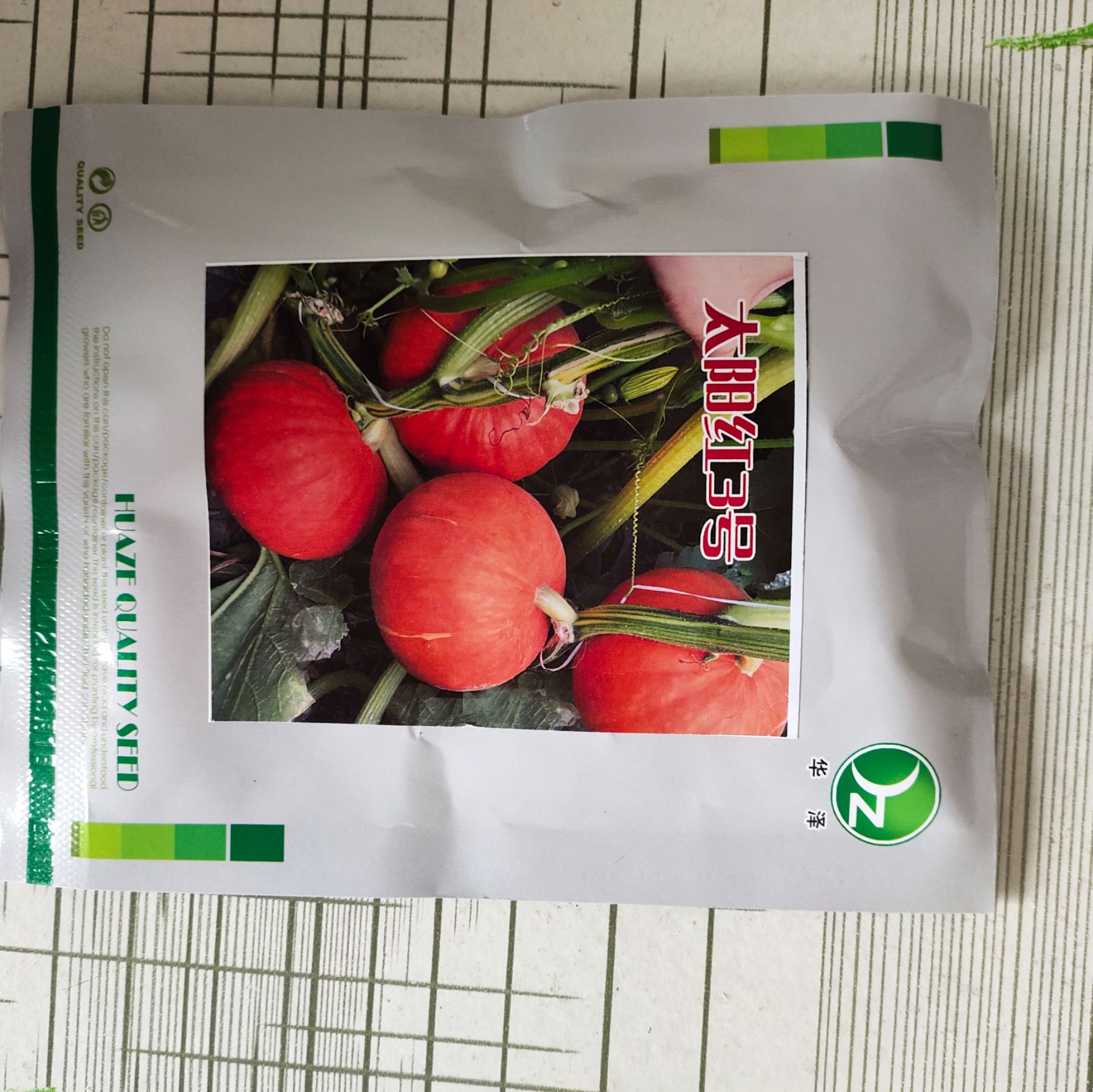 橙红色南瓜种子，太阳红3号，板栗南瓜种子