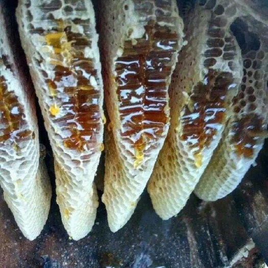 郁南县乌桕蜜，质量保证，农家自产自销。