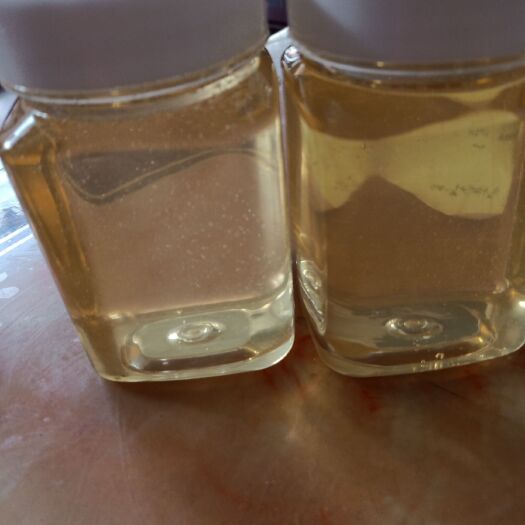 赞皇县槐花蜜 特级洋槐蜂蜜500斤，自家蜂场自产