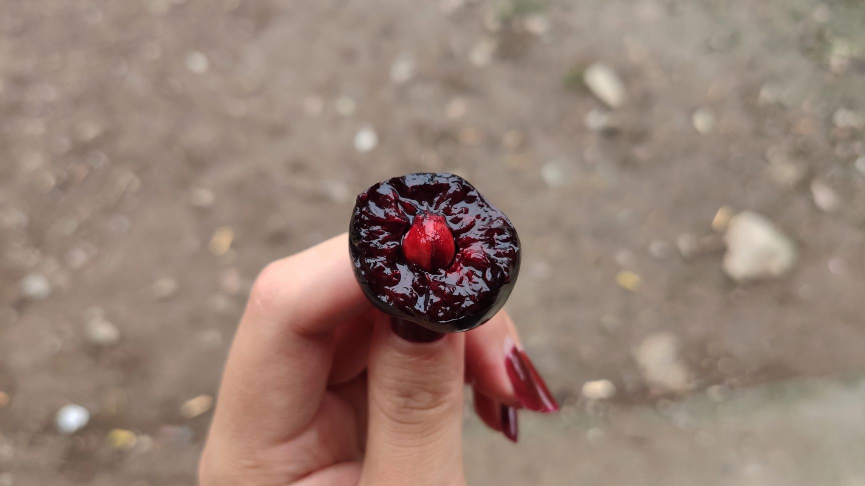 黑珍珠樱桃 汉源车厘子  大樱桃  黑珍珠