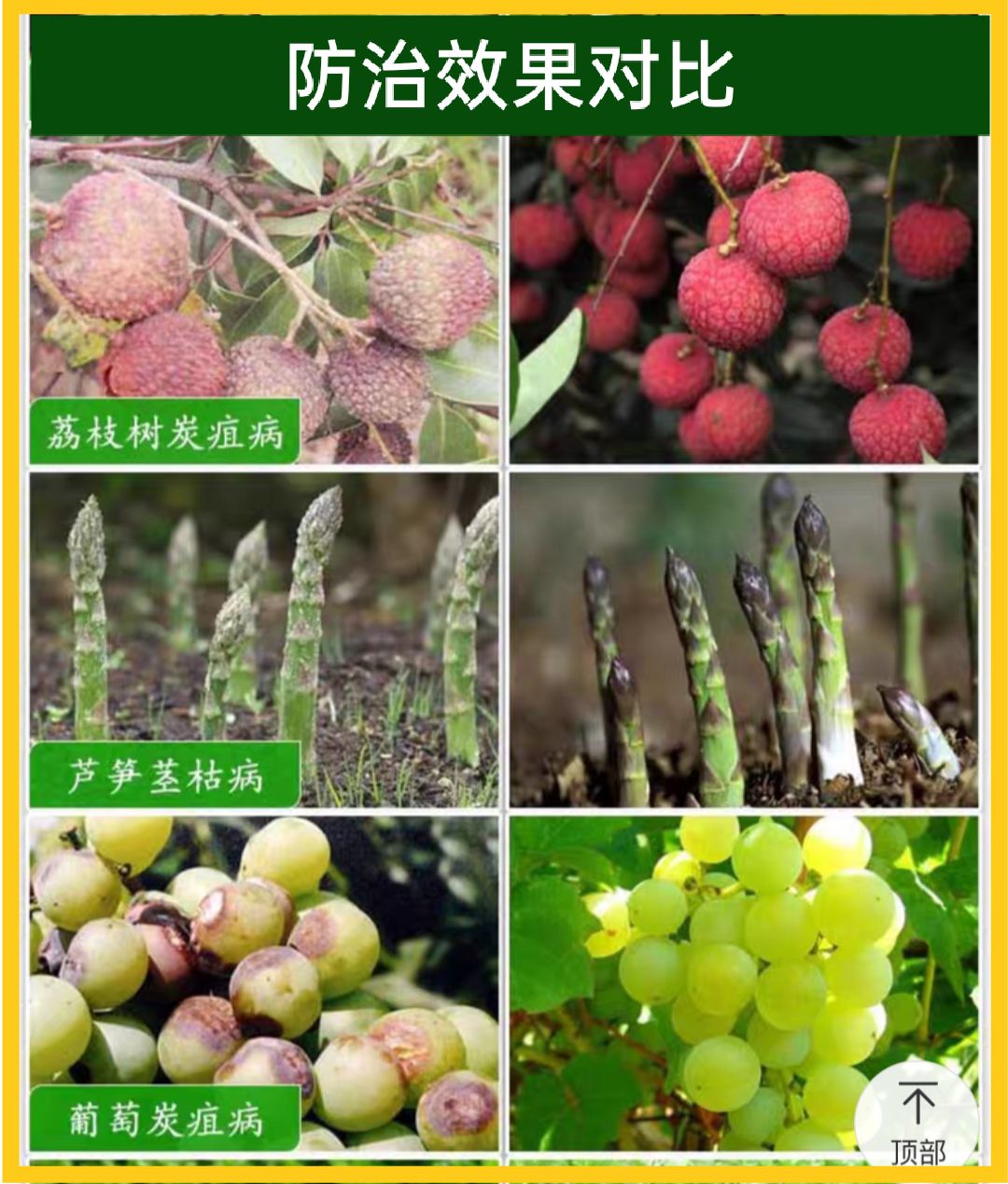 世高——先正达生产的苯醚甲环唑，白粉，炭疽，紫斑病，锈病等