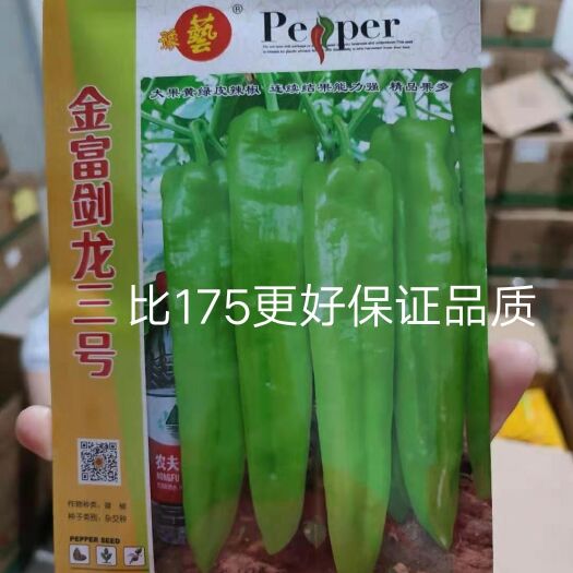 扶沟县黄绿皮辣椒种子金富剑龙三号耐热耐低温抗病大果顺直