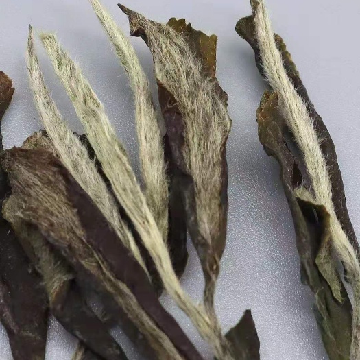 福鼎市白牡丹茶  福鼎白茶牡丹