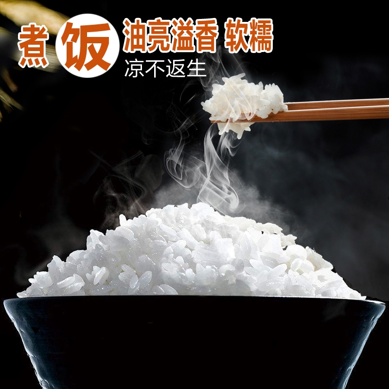 宁化县贡米  长粒香大米农家自产现碾新鲜大米2020年新米