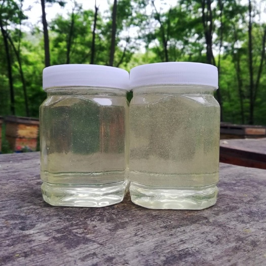 长葛市槐花蜜  【洋槐蜜】水白色洋槐蜜天然蜂蜜清淡口味水