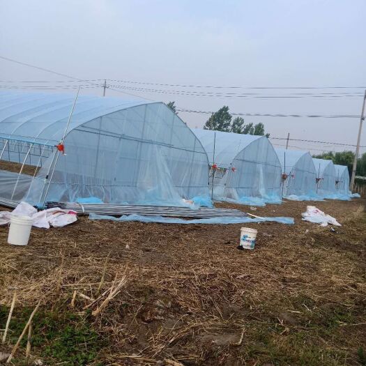 沭阳县大棚骨架 农业大棚定制