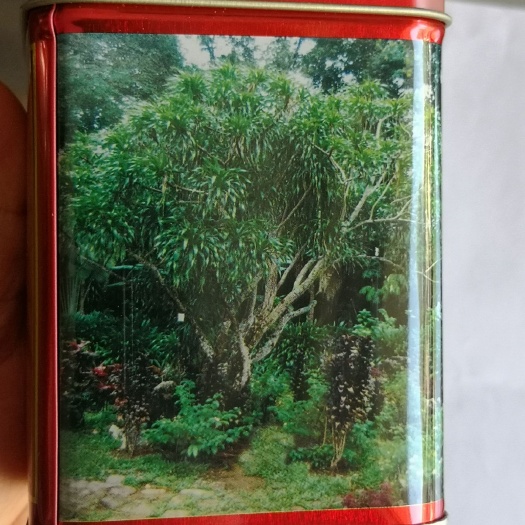 血竭   盒装 认准里边实物 两盒起包邮