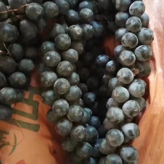 风流果  追风果，好货，大货鲜货