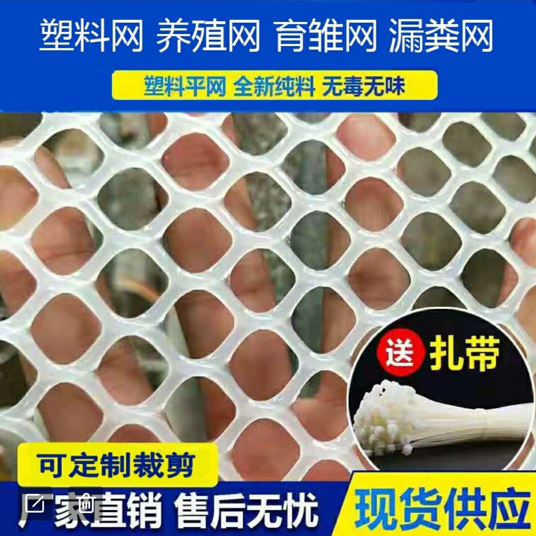 安平县漏粪板  鸡鸭鹅育雏漏粪网防护网塑料养殖网苗床网塑料网格塑料