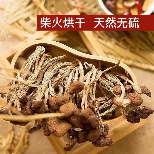  茶树茹干货自产自销不开伞农家正宗无硫茶薪菇2021年香菇新货