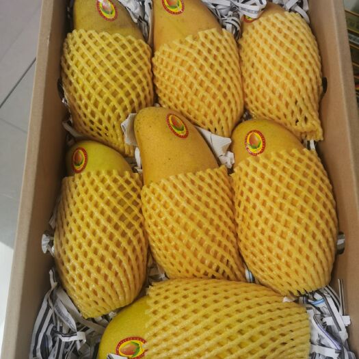 三亚 海南金煌芒果产地批发大量出货