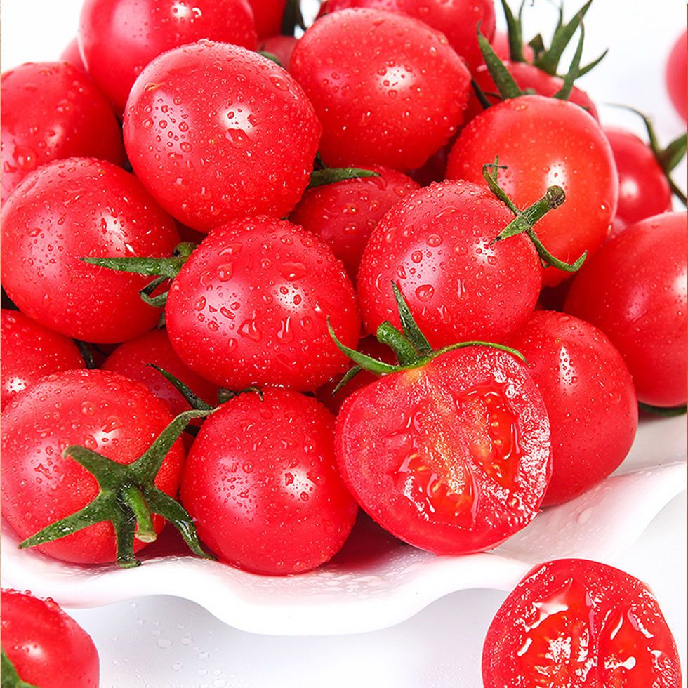 新鲜圣女果现摘小西红柿时令水果应季蔬菜小番茄圣女果批发