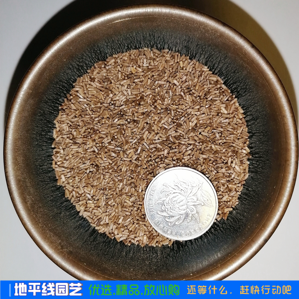 沭阳县麦秆菊种子麦杆菊种子可干切花室内外阳台盆栽公园春秋播夏秋开花