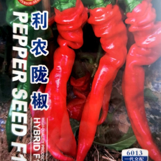 利农螺丝椒种子，辣味浓，肉厚，产量高，品质好，商品率高