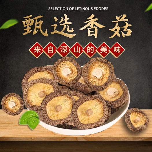 优选小香菇自产自销批发零售无根剪脚金钱菇肉厚香菇