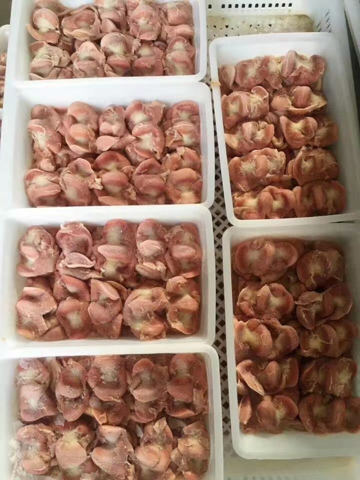 三黄鸡鸡胗  冻品鸡胗  小包装精品装鸡胗