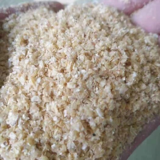 巨鹿县玉米皮粉  玉米皮