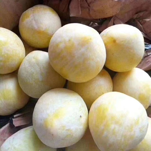 乐昌市黄金奈李