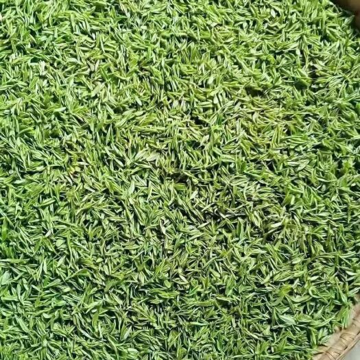 大悟县毛尖茶 物美价廉