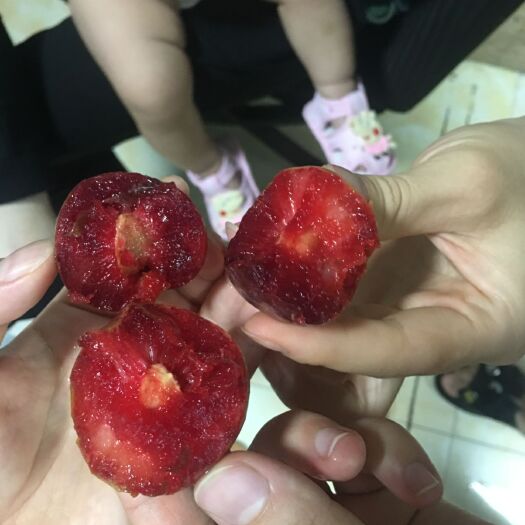 贺州李子 广西红心三华李