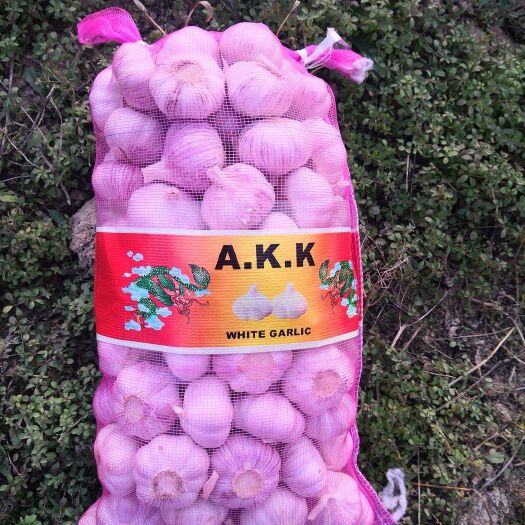 红皮蒜  金乡大蒜本公司代收代銷大蒜洋葱瓜果蔬菜有梦想来金乡